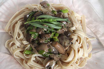 mushroom pasta mushroom pasta