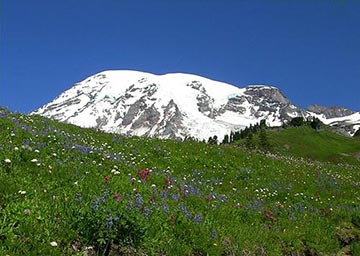 What is the snowiest place on Earth?