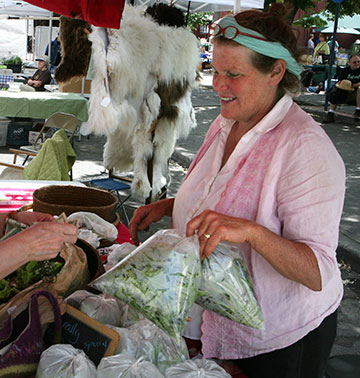 farmers_markets-3629