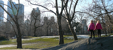 Central Park Rock