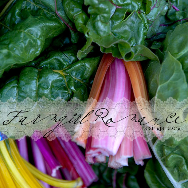 farm_romance-chard