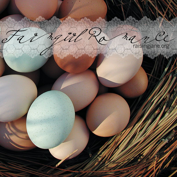 farm_romance-eggs