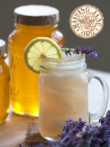 growing_jane-lavender_lemonade-1044