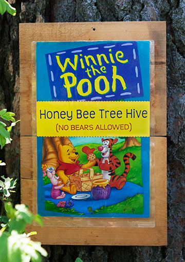 honey_bee_tree-3279