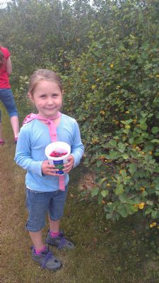 Emma picking berries