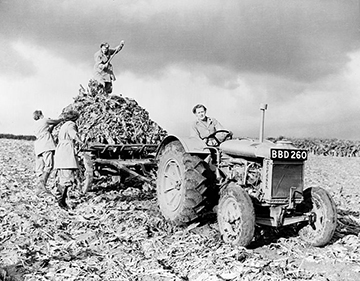 gift_gab-farming1