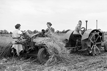 gift_gab-farming5