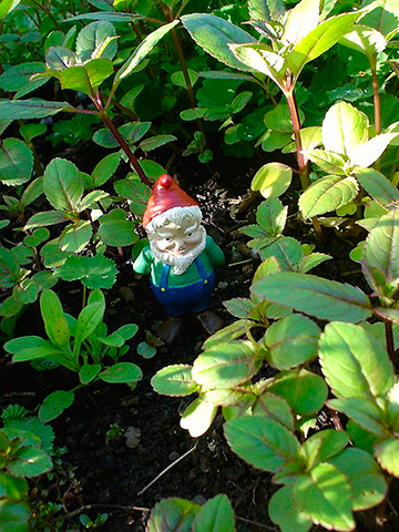 gift_gab-garden_gnomes1