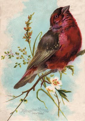 gift_gab-chunkybirdgfairy008