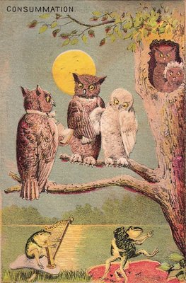 gift_gab-owl_graphic