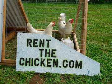gift_gab-rent_chicken1