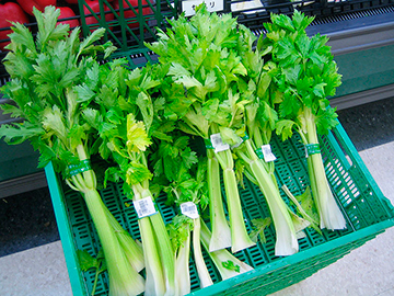 growing_jane-celery1