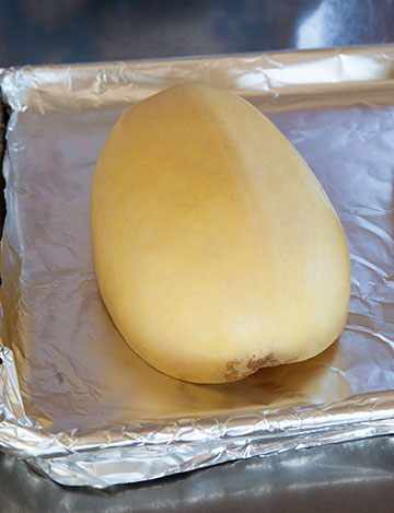 spaghetti_squash-4186