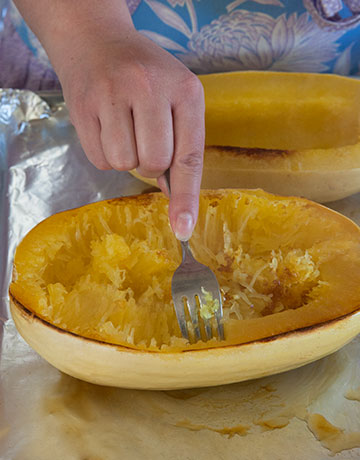 spaghetti_squash-4266