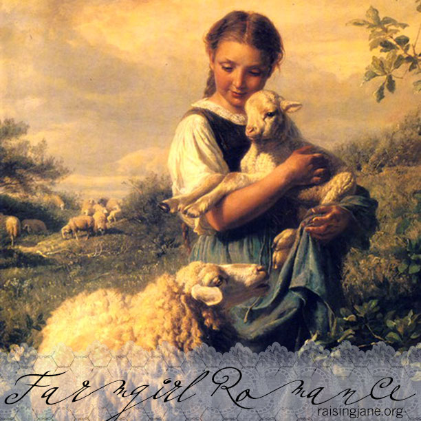 farm_romance-sheep