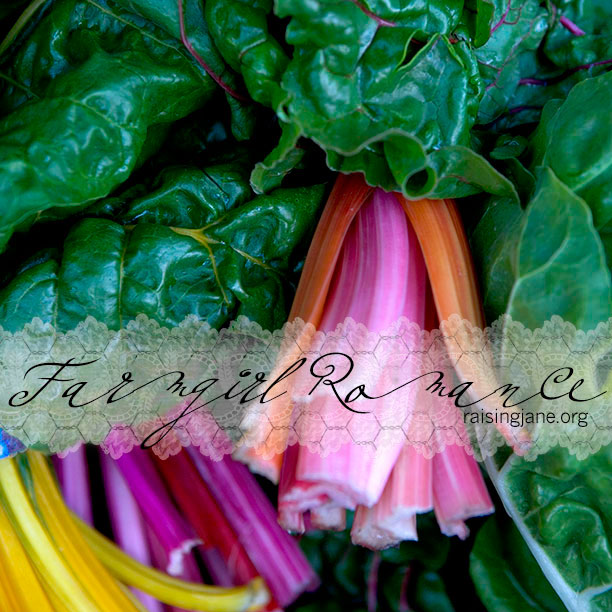 farm_romance-chard-1