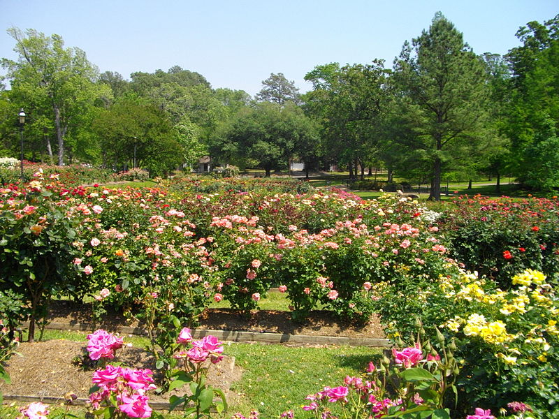 800px-Tyler_Rose_Garden