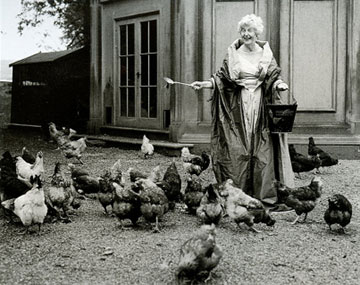 chickpostcrd1