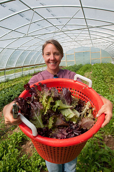 398px-Fall_Line_Farms,_cooperative,_co-op,_Richmond,_VA__-_Flickr_-_USDAgov_(1)