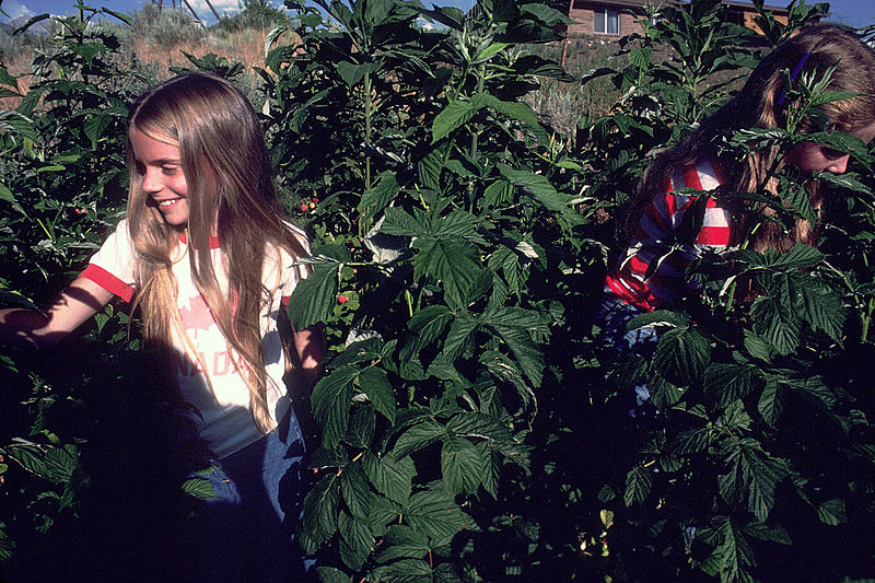 800px-Girls_gardening