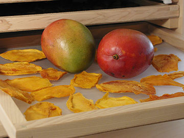 dried-apples030805-053-MJ3-jpg