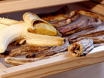 dried-bananas030805-022-MJ3-jpg