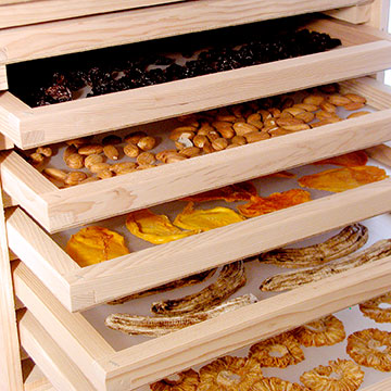 dried-food