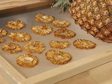 dried-pineapple030805-048-MJ3