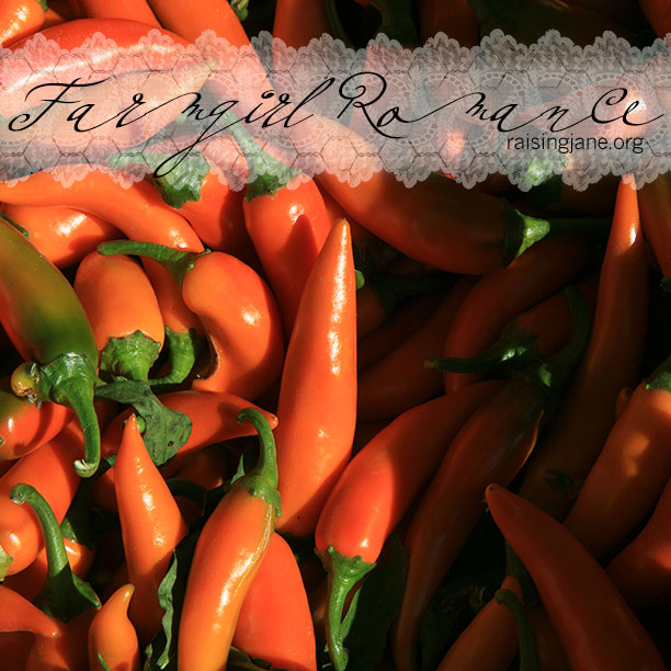 farm_romance-peppers