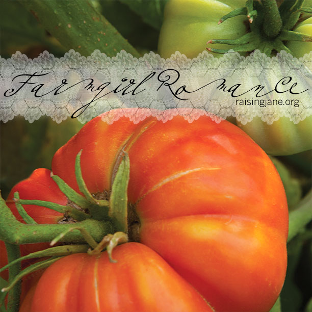 farm_romance-tomatoes2