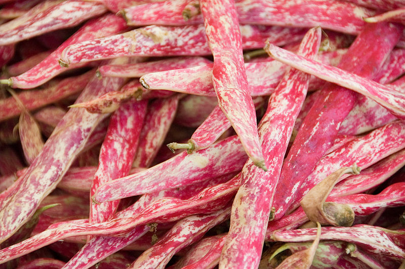 800px-Cranberry_beans_at_the_Oerlikon_market_(4828238567)