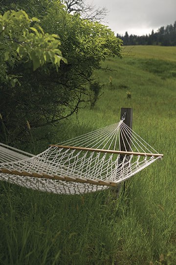 hammock