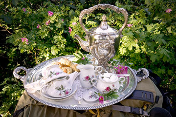 tea-set