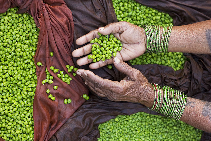 800px-India_-_Varanasi_green_peas_-_2714