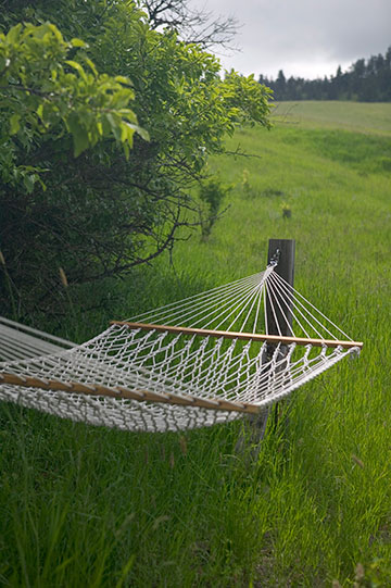 hammock4