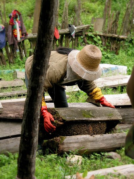 450px-Traditional_Honey_making_in_Sichuan,_China