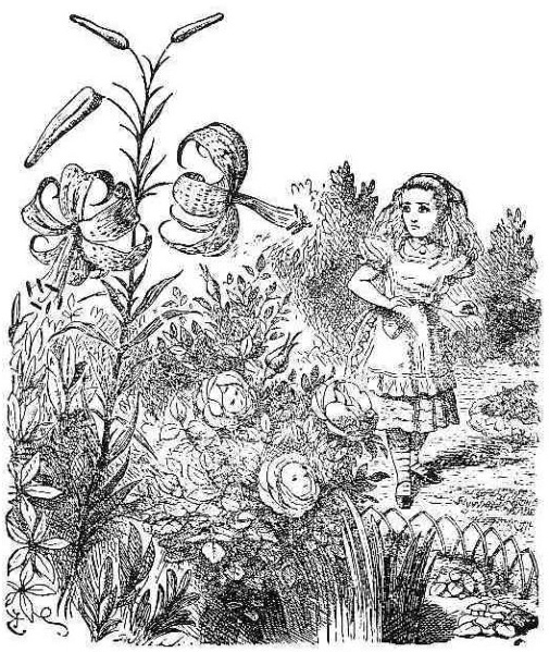 Flowers_frontispiece