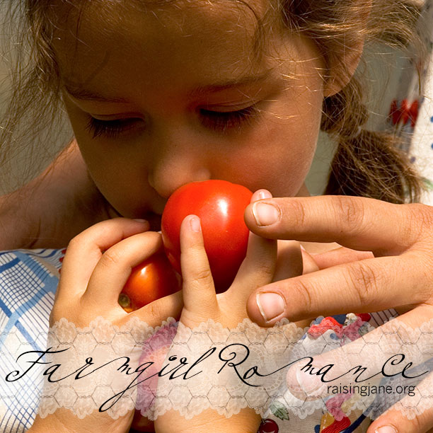 photo-of-the-day_tomatoes