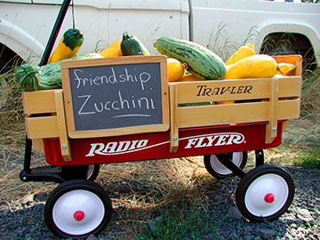 zucchini