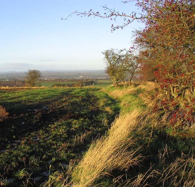 625px-Field_margin_-_geograph_org_uk_-_301512