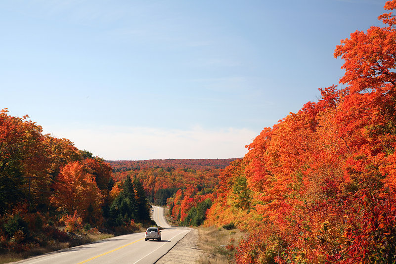 Algonquin_view_01
