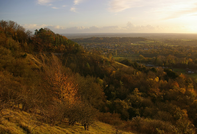 Colley_Hill_-_geograph_org_uk_-_1573397