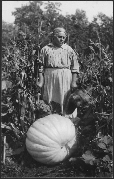 lossy-page1-383px-Woman_with_large_pumpkin_at_Cass_Lake_-_NARA_-_285291_tif