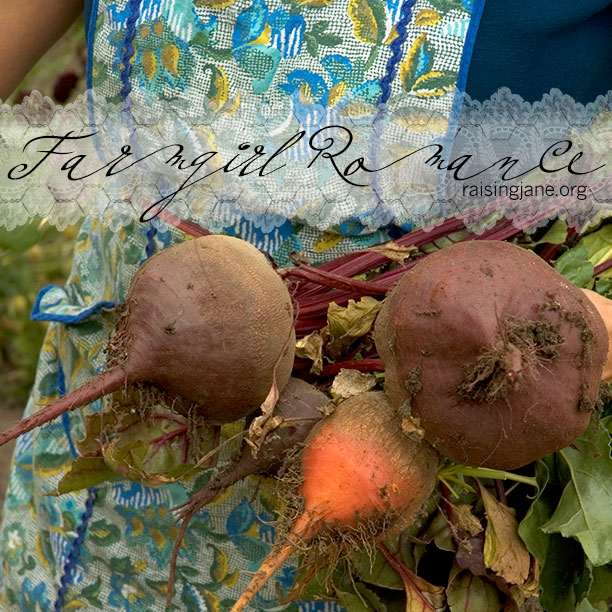 photo-of-the-day_apron-beets