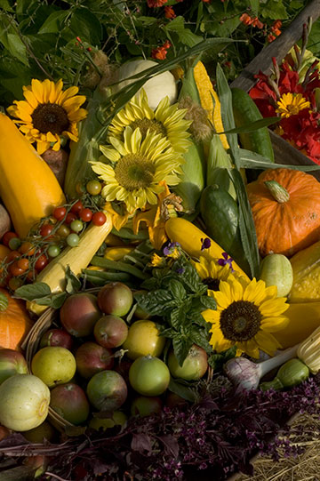 veggies_3326