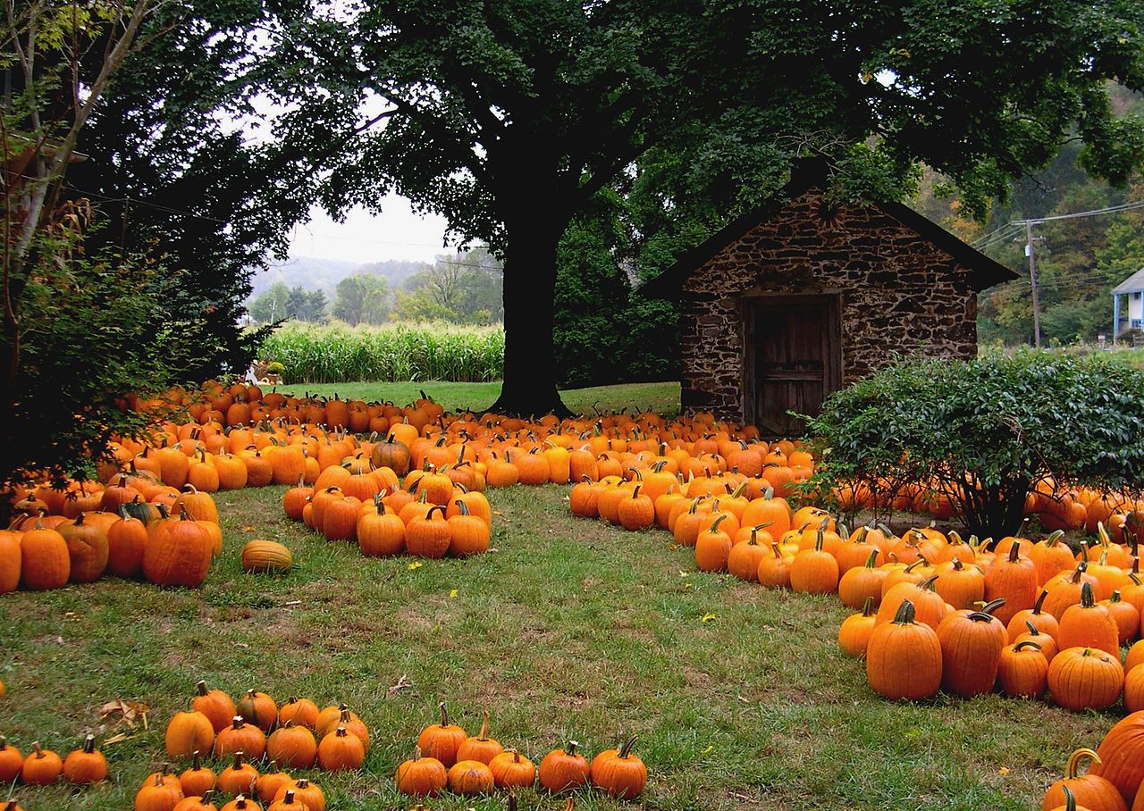 1280px-Traugers-farm-bucks-county-large