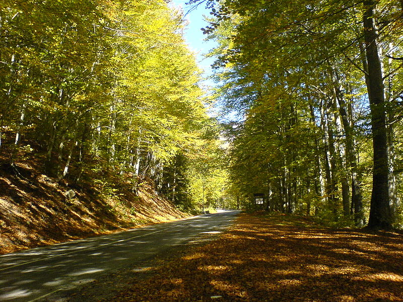 800px-Road_in_Rila_mountain-autumn_2007