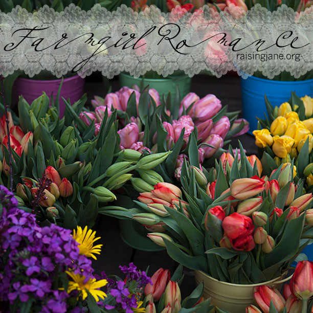 photo-of-the-day_tulips