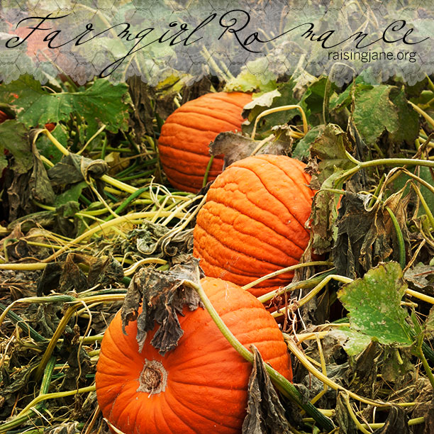 pumpkins_0176