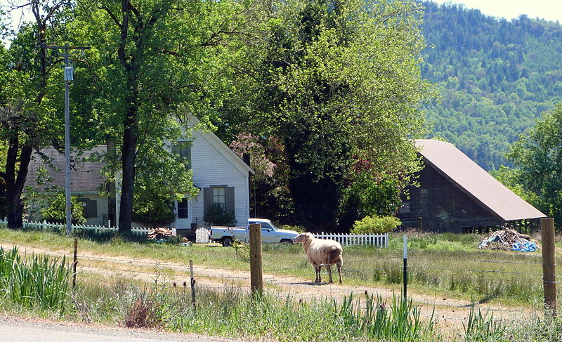 800px-Hurst_Farm_-_Sutherlin_Oregon